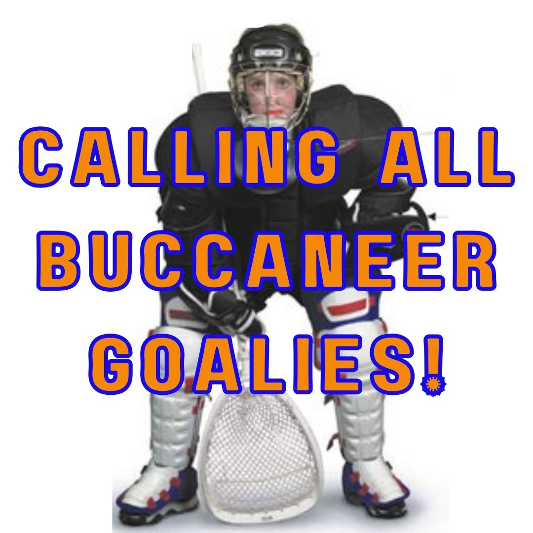 Sylvan Lake Lacrosse site by RAMP InterActive